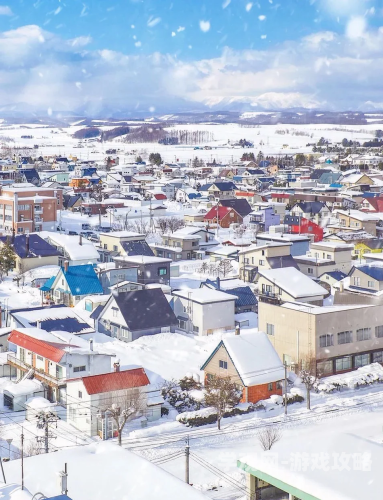 2024日本旅游全攻略，从东京到北海道的15个必体验（含签证/交通/避坑指南）