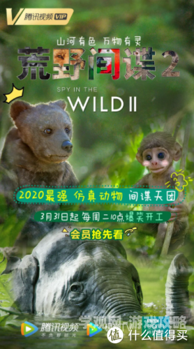 欧洲免费看片尺码大欧洲免费观影平台大盘点，尺度大、资源多，畅享视觉盛宴
