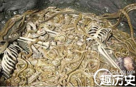 盗墓天书盗墓天书探秘，千年诅咒背后的历史密码与人性博弈