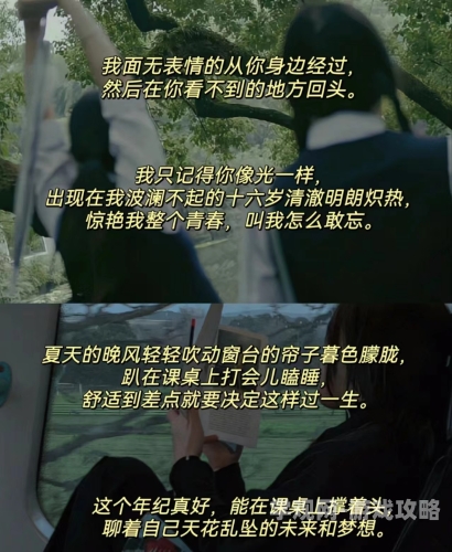 我的青春我的爱我的青春我的爱，一段从校园到成长的纯真恋曲