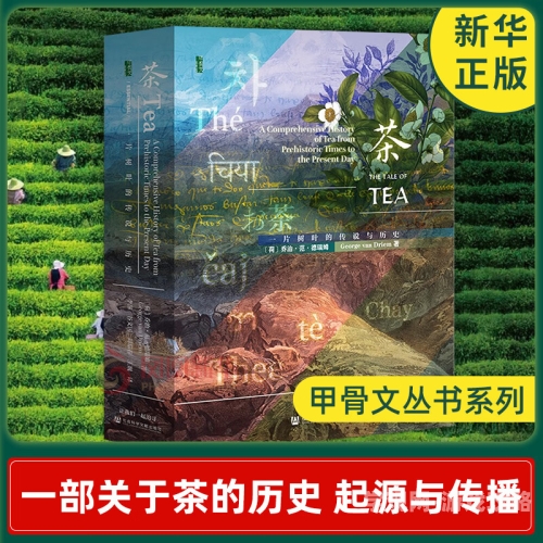 脔仙揭秘中国古代脔仙之谜，仙术、传说与历史真相