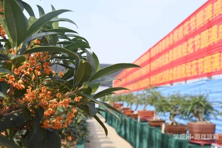 杨大壮和田桂花的第二十九杨大壮和田桂花的第二十九次创业，从负债累累到年入百万的逆袭之路