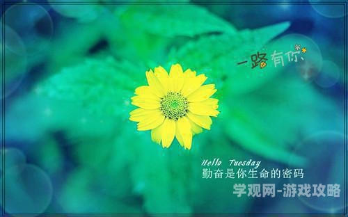 驾校情缘全文免费阅读文章正文