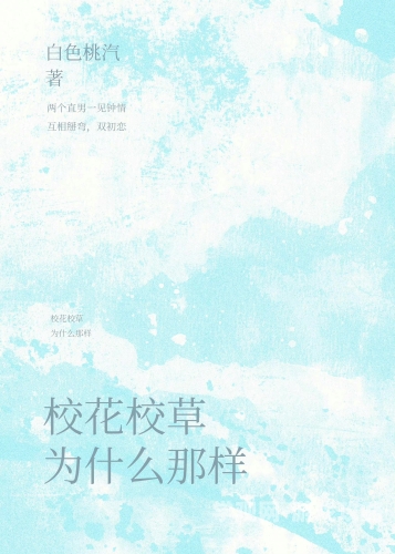 校花的秘密，那些不为人知的青春心事与现实困境校花的秘密小说免费阅读全文最新章节