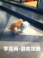 狠狠久久偷偷色综合免费，揭秘网络热门新闻动态