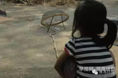 高清一级无码在线观看，新闻资讯网站热门推荐
