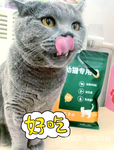 亚洲成aV人在线视猫咪亚洲盛传aV人在线视猫咪，揭秘网络新风尚