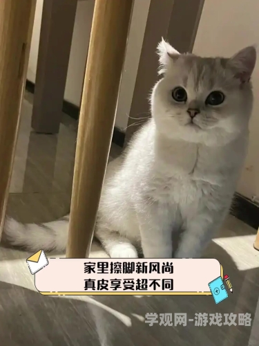 亚洲成aV人在线视猫咪亚洲盛传aV人在线视猫咪，揭秘网络新风尚