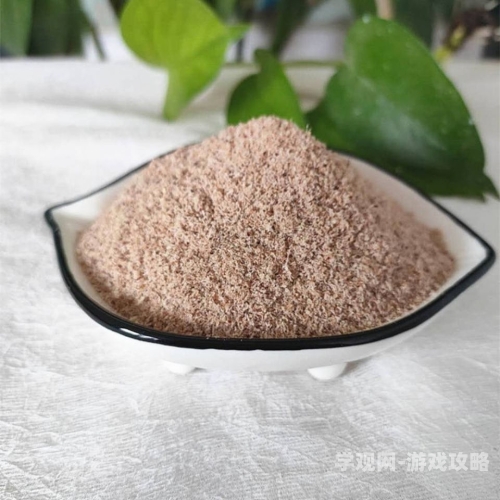 免费无码高h视频在线观看，揭秘网络视频的诱惑与安全