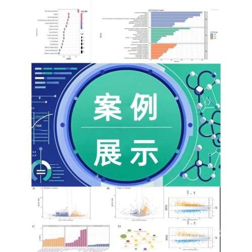一区二区三区四区无码Av一区四区无码Av新闻资讯