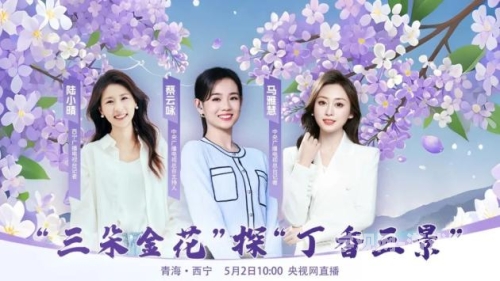 久久综合五月丁香六月丁香丁香五月与六月，新闻资讯网站小编的角色与职责