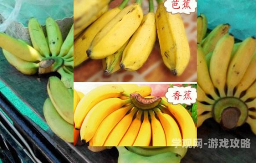 亚洲中文高清香蕉网亚洲中文高清香蕉网，探索网络资讯的新疆域