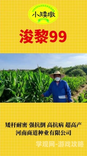 久久精品视频—引领视频潮流，展现精彩内容