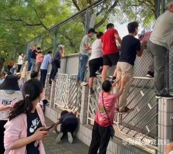 网络热议，关于久久人人爽爽人人片AV的神秘解读中文字幕免费高清电视剧网站